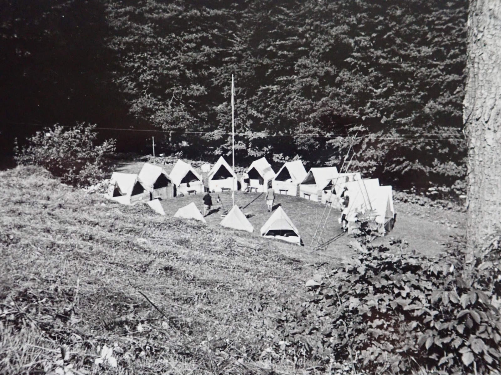 Tbor skautek v Antonnskm dol v Orlickch horch v roce 1946